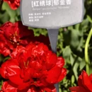 北京旅游 缩略图 6
