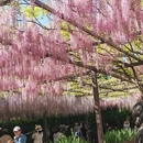 北京旅游 缩略图 15