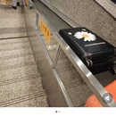 上饶旅游 缩略图 4