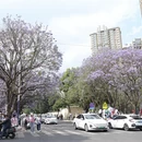昆明旅游 缩略图 7