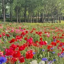 苏州旅游 缩略图 7