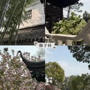 苏州旅游 缩略图 3