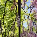 北京旅游 缩略图 6