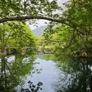 黄山旅游 缩略图 17