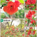 天津旅游 缩略图 3
