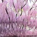 北京旅游 缩略图 4