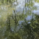 杭州旅游 缩略图 12