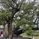 上饶旅游 缩略图 3