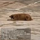 宜春旅游 缩略图 10