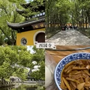 苏州旅游 缩略图 12