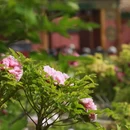 北京旅游 缩略图 17