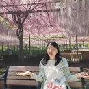 北京旅游 缩略图 2
