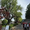 北京旅游 缩略图 9