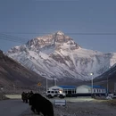 拉萨旅游 缩略图 4
