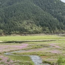 上饶旅游 缩略图 11