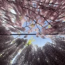 北京旅游 缩略图 6