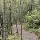 上饶旅游 缩略图 6