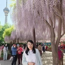 北京旅游 缩略图 4