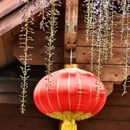 北京旅游 缩略图 17