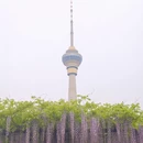 北京旅游 缩略图 10