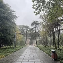 南京旅游 缩略图 5