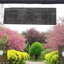 天津旅游 缩略图 1