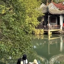 无锡旅游 缩略图 13