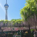 北京旅游 缩略图 6