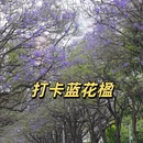昆明旅游 缩略图 1