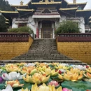 林芝旅游 缩略图 3