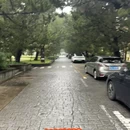 南京旅游 缩略图 3