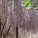 北京旅游 缩略图 13