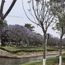 昆明旅游 缩略图 9