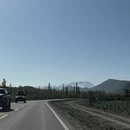 伊犁旅游 缩略图 9