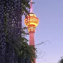 北京旅游 缩略图 1