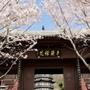 南京旅游 缩略图 2
