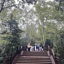 南京旅游 缩略图 7