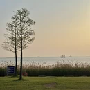 苏州旅游 缩略图 7