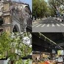 苏州旅游 缩略图 16