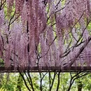 北京旅游 缩略图 11