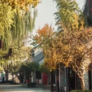 徐州旅游 缩略图 4