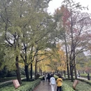 南京旅游 缩略图 10