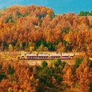 徐州旅游 缩略图 1