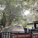 南京旅游 缩略图 9