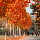 徐州旅游 缩略图 7