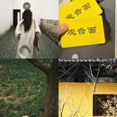 苏州旅游 缩略图 5