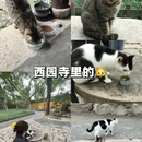 苏州旅游 缩略图 9