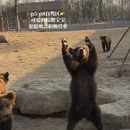 宿迁旅游 缩略图 5