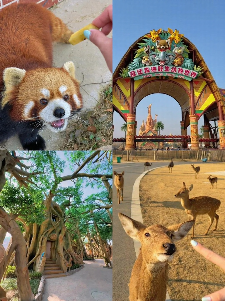 宿迁旅游
