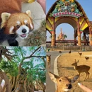 宿迁旅游 缩略图 1